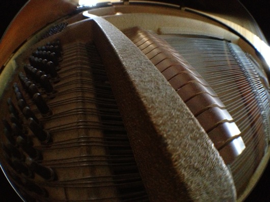Fisheye Inside Piano